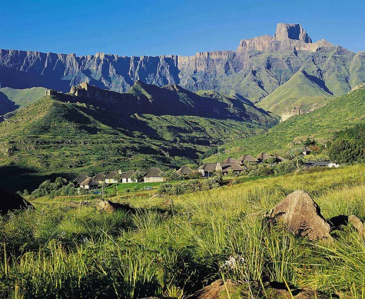 Free State Landscape